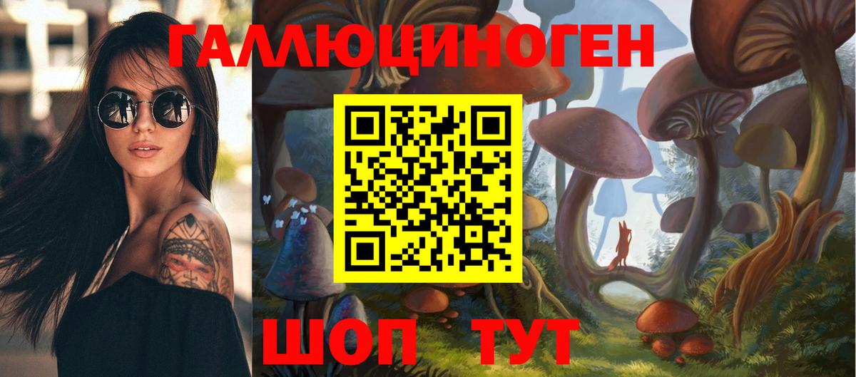 Псилоцибиновые грибы GOLDEN TEACHER  Вход с VPN  Ленинск-Кузнецкий 